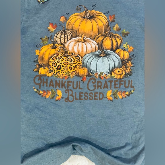 NEW WITH TAGS Thankful Grateful Blessed Pumpkin Tee Heather Slate Fall Graphic - Picture 2 of 2